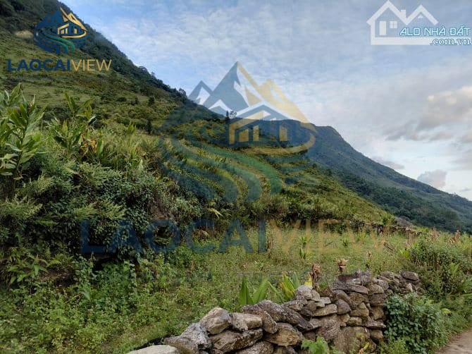 Bán Homestay Tả Phìn Sa Pa 1000m2 Sẵn 8 Phòng Kinh Doanh Giá 9.8 Tỷ