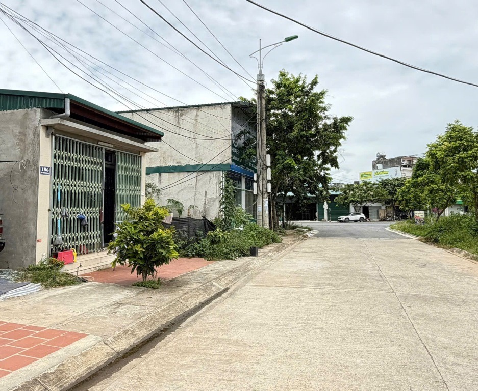 Ảnh 2