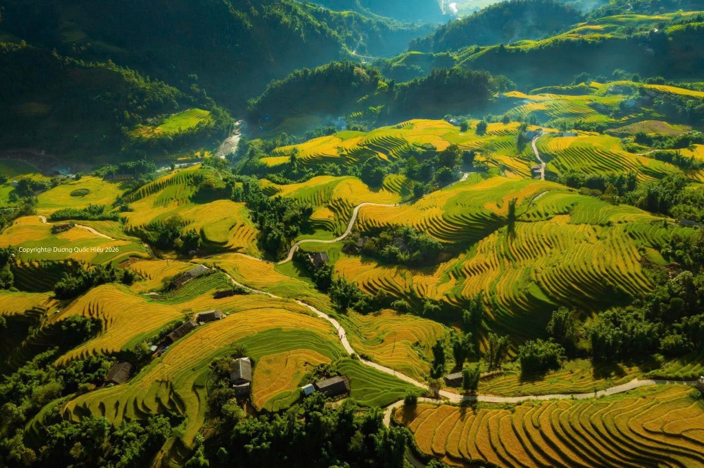 Vẻ đẹp kỳ quan thung lũng Mường Hoa Sa Pa mùa lúa chín vàng