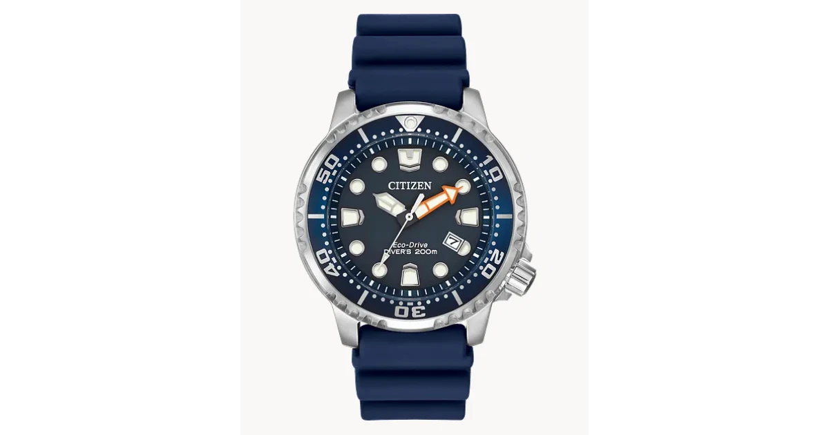 Citizen Promaster Diver BN0151-09L Review