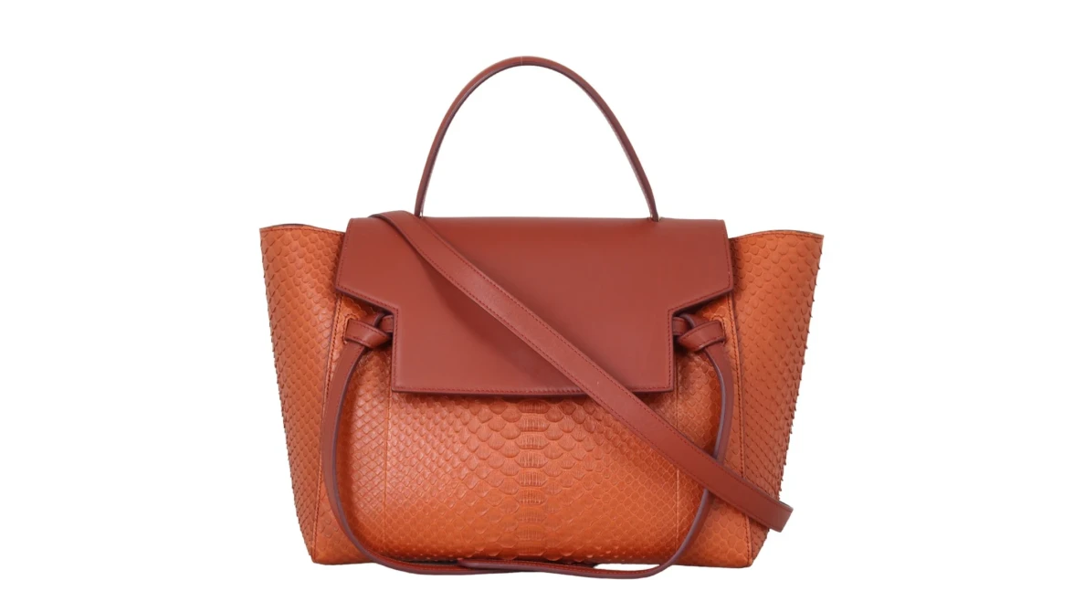Celine Belt Bag Review