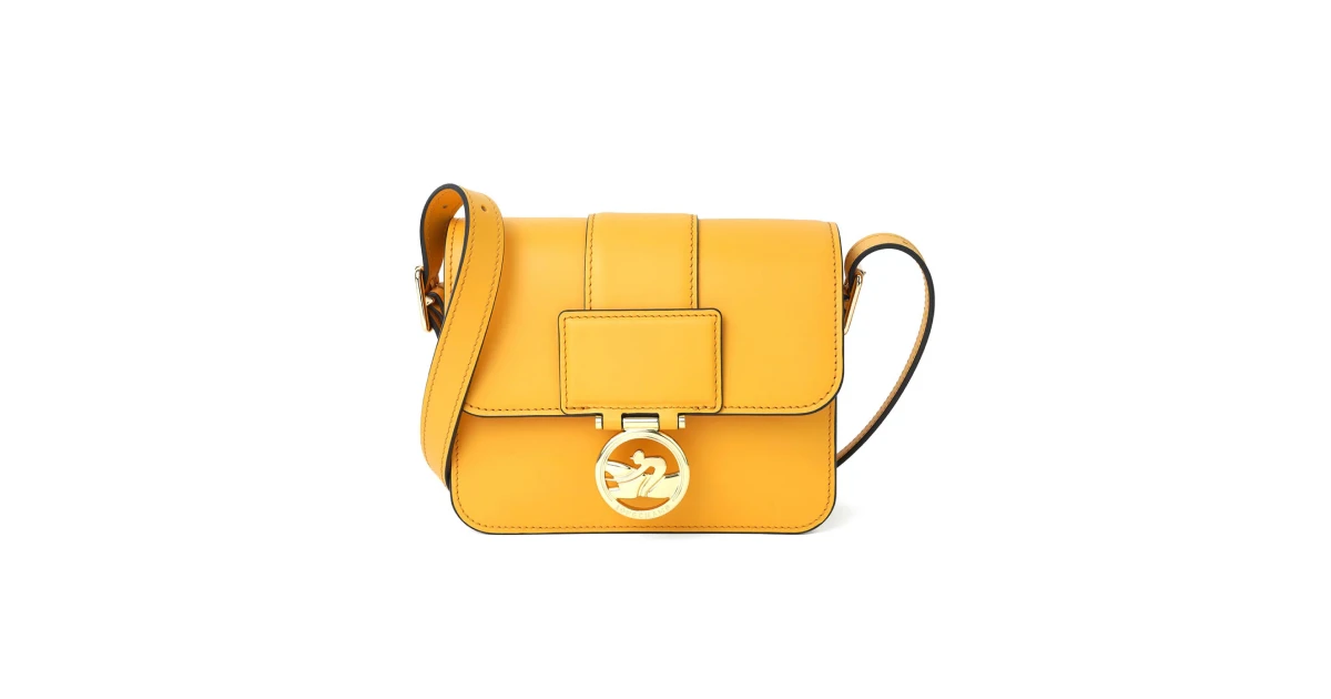 Longchamp Box-Trot Review