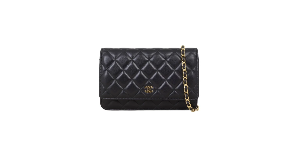 Chanel Wallet on Chain Classic top 10 most popular Chanel handbag