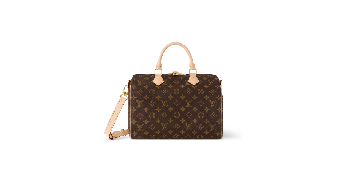 Louis Vuitton Speedy 30 Monogram  top 10 most popular Louis Vuitton handbags
