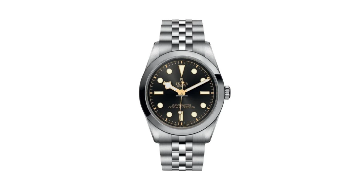 Tudor Black Bay 36 best watches for professionals