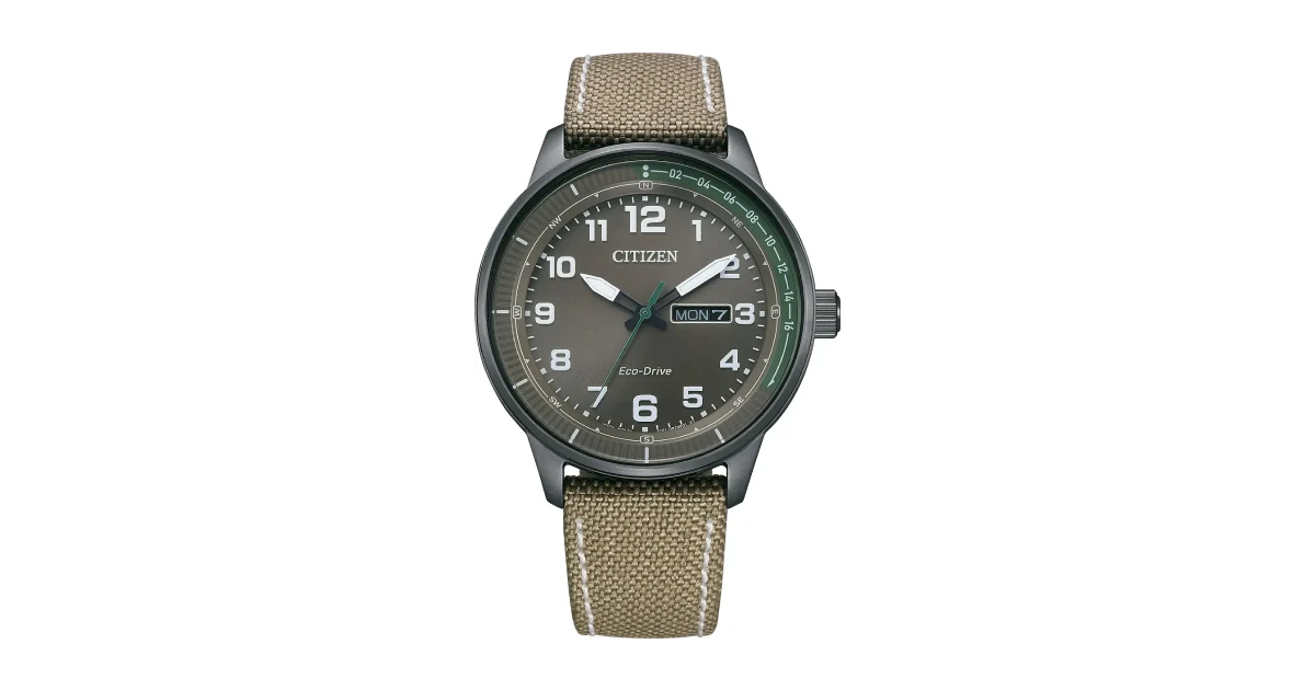 Citizen Eco-Drive Weekender best beginner watches under $500