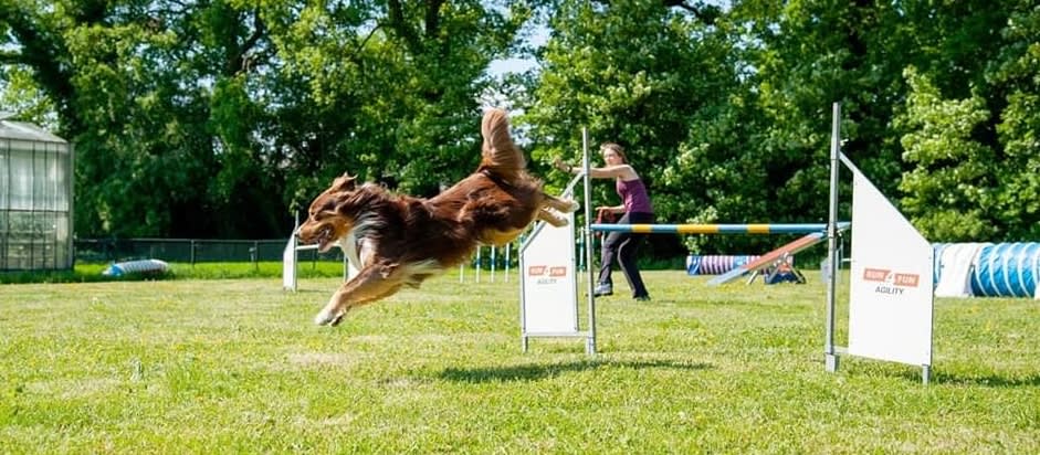 Let's do some training in my backyard!