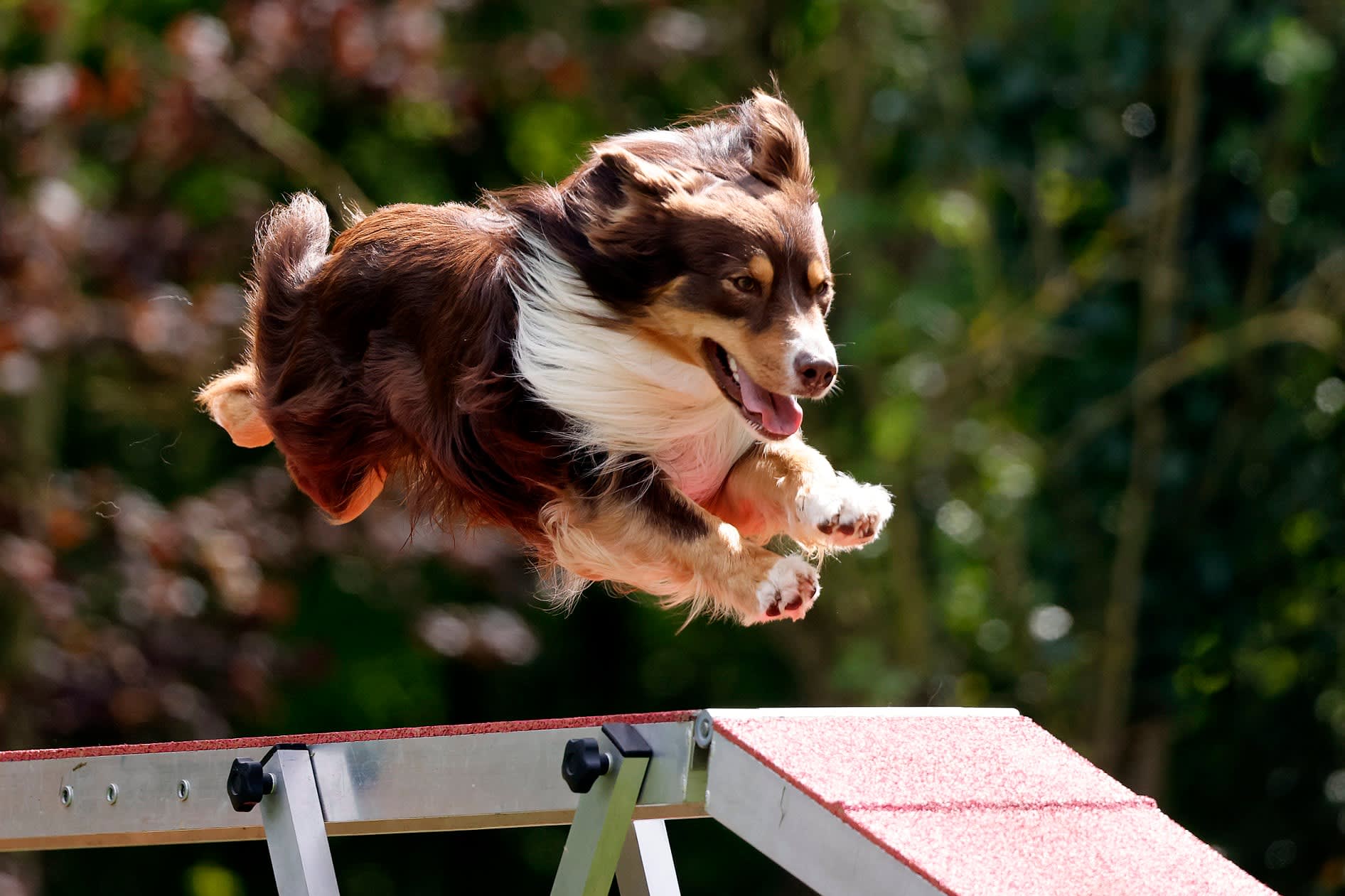 San © Cees van Hoogdalem