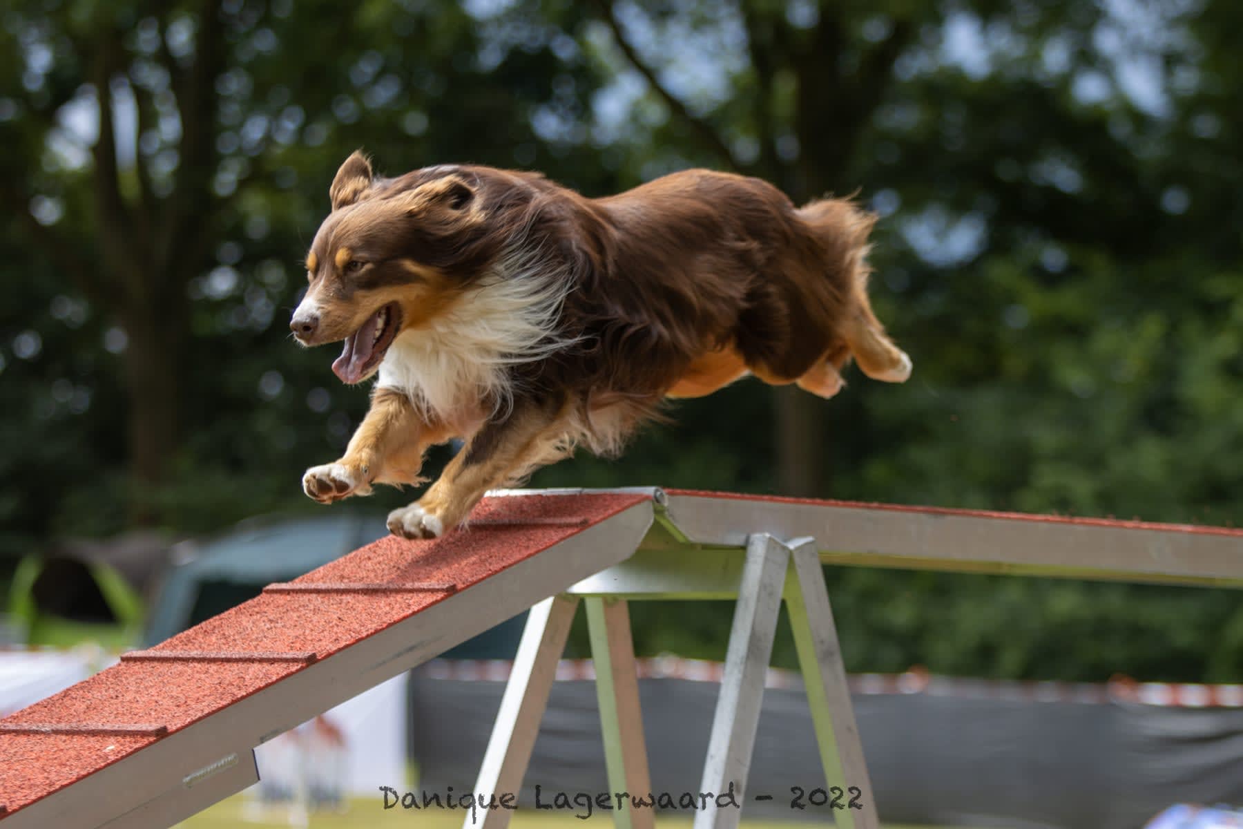 San © Danique Lagerwaard