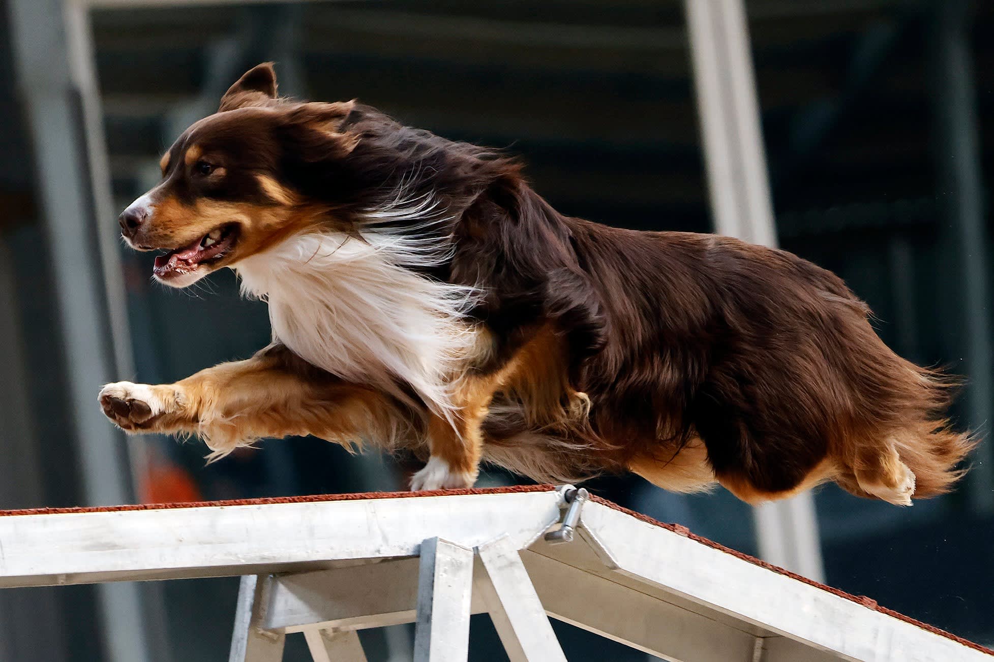 San © Cees van Hoogdalem