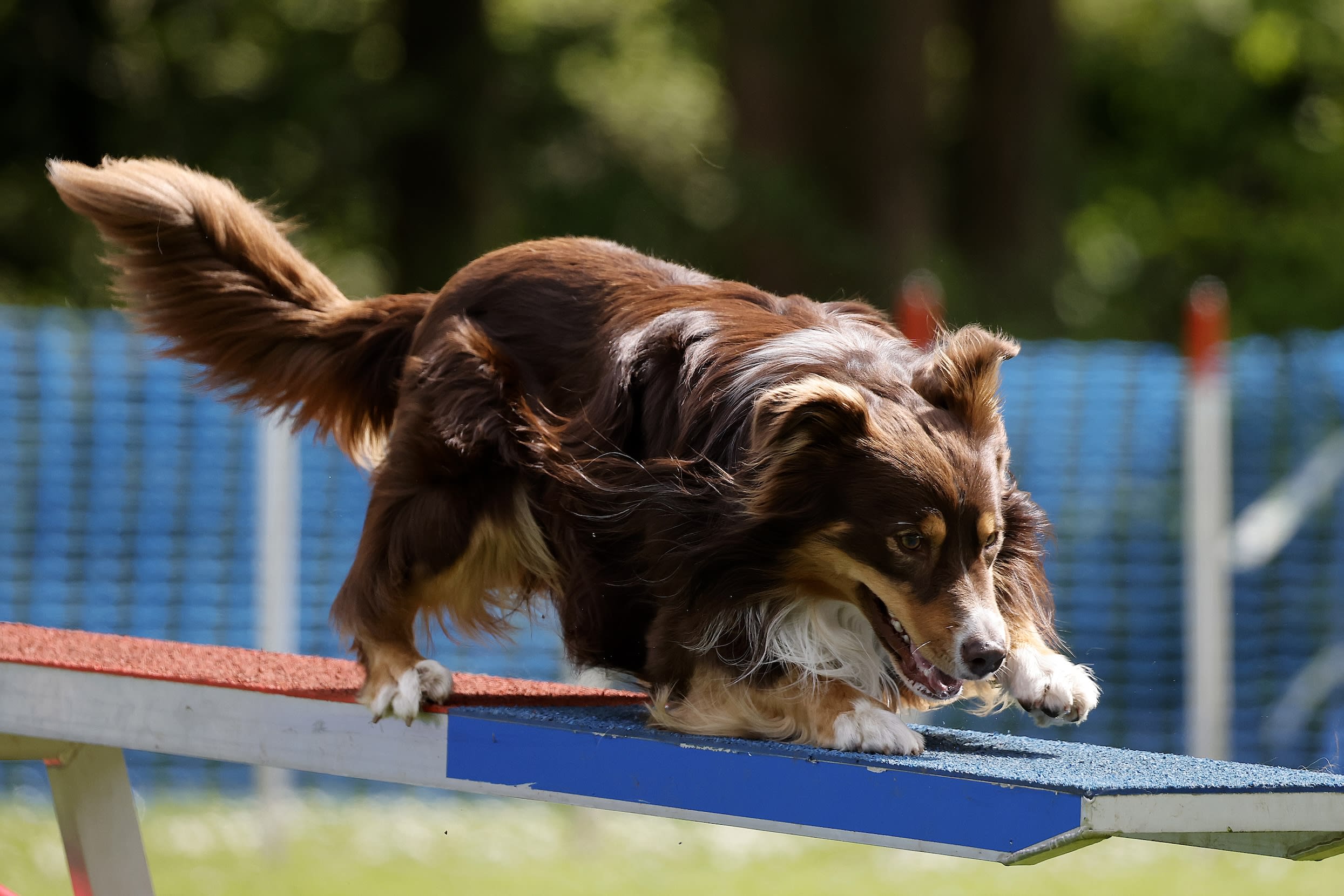 San © Cees van Hoogdalem