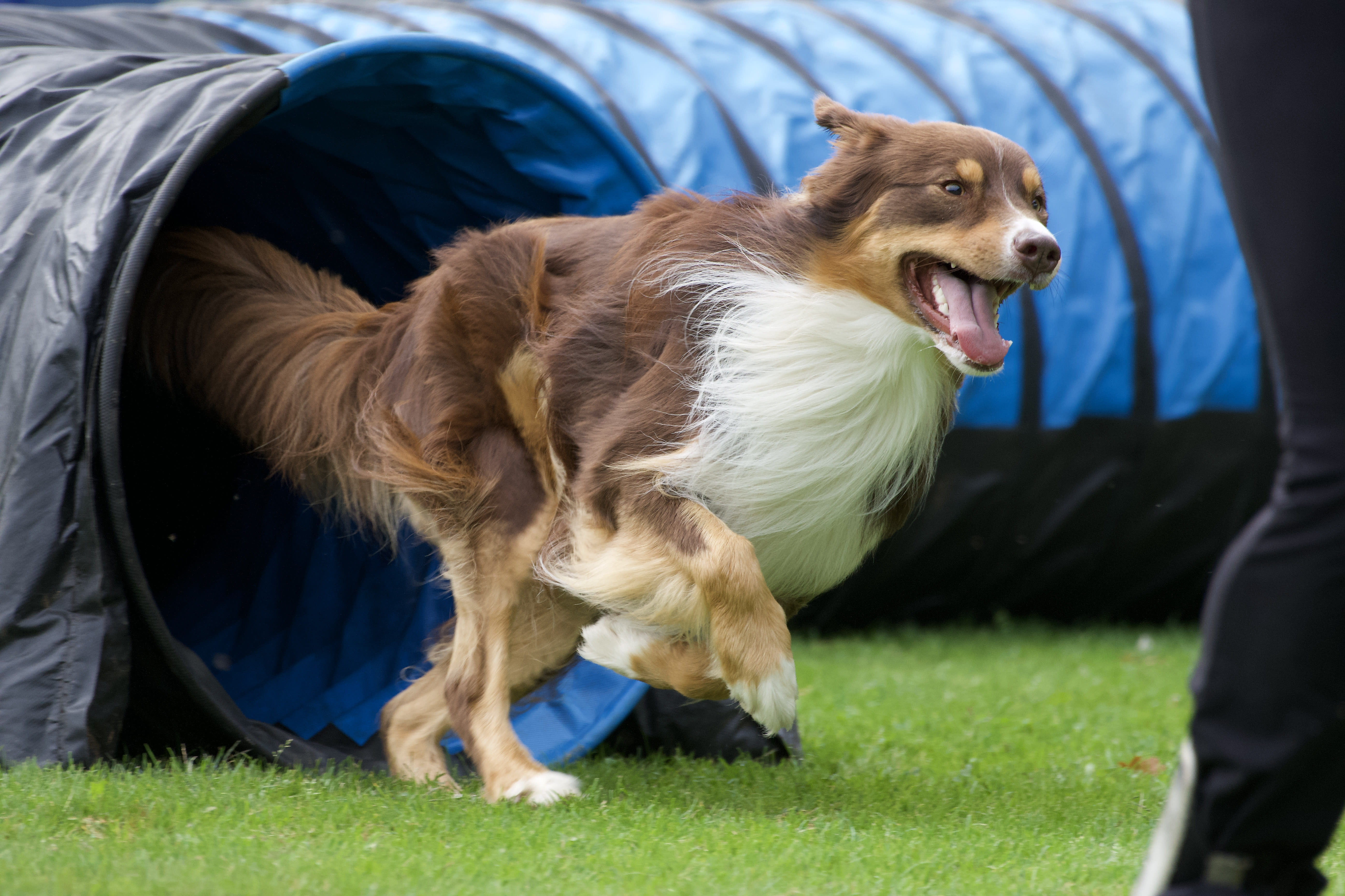 San © Cees van Hoogdalem