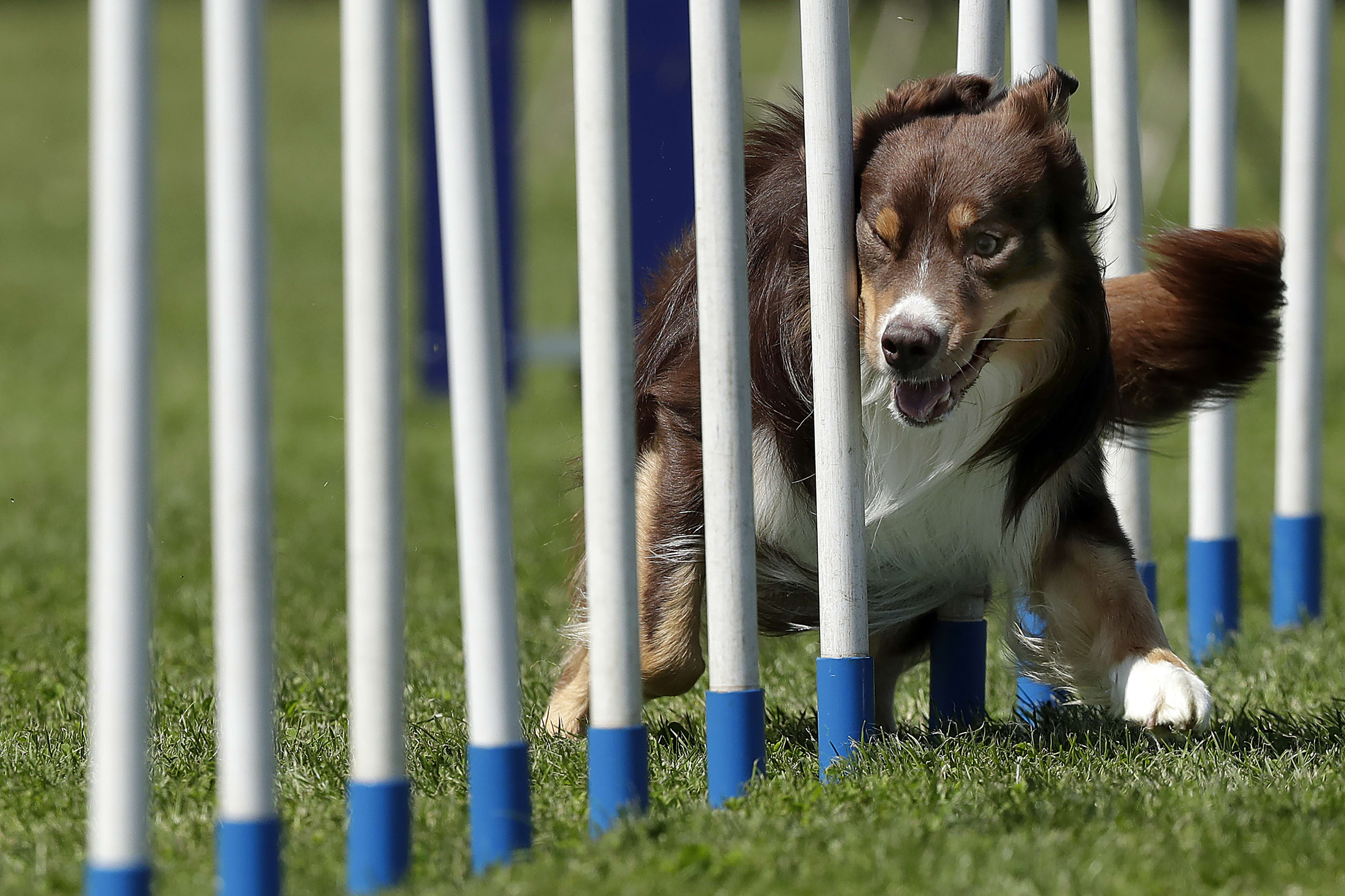 San © Cees van Hoogdalem