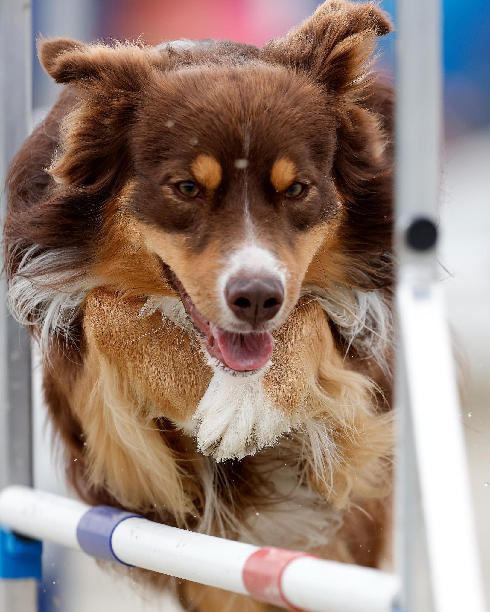 San © Cees van Hoogdalem