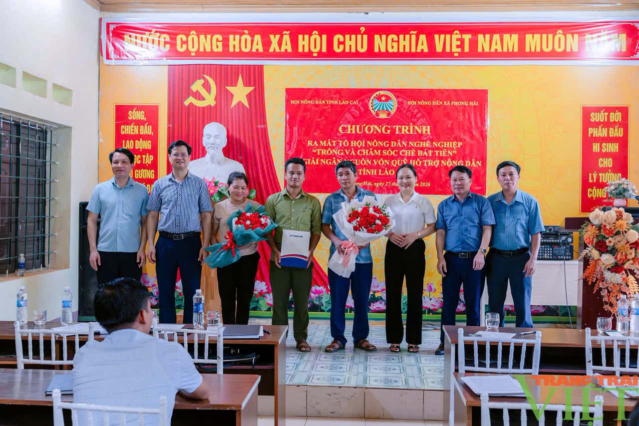 Lãnh đạo Hội Nông dân tỉnh Lào Cai và xã Phong Hải trao Quyết định ra mắt Tổ Hội nông dân nghề nghiệp trồng và chăm sóc chè Bát Tiên thôn Ải Nam. Ảnh: Duy Trinh.