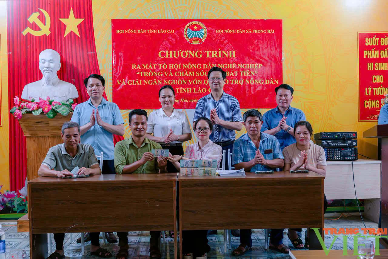 10 hộ thành viên của Tổ Hội nông dân nghề nghiệp thôn Ải Nam đã được giải ngân nguồn vốn vay từ Quỹ Hỗ trợ nông dân tỉnh Lào Cai với tổng số tiền 1 tỷ đồng. Ảnh: Duy Trinh.