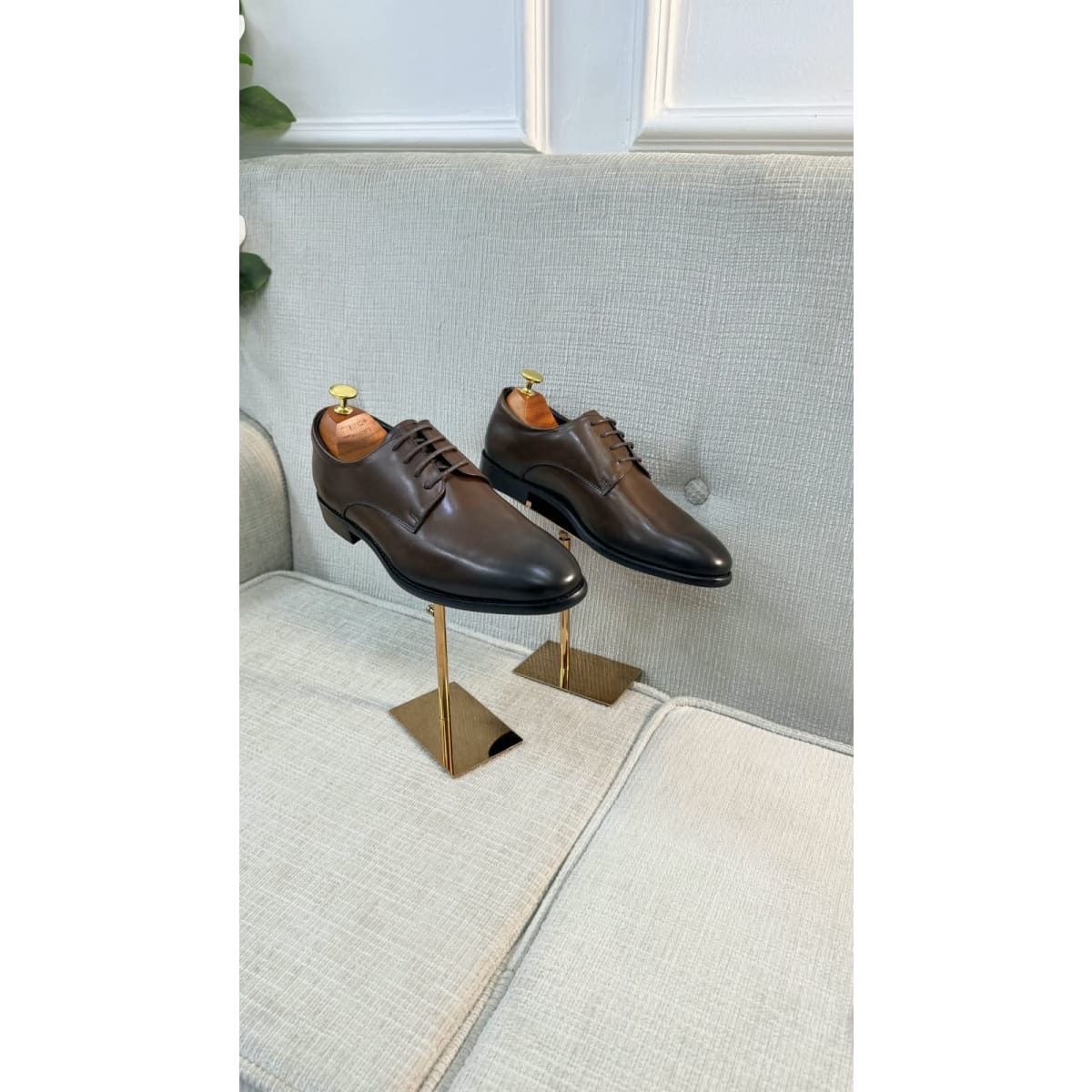 Dark Brown Formal Derbies