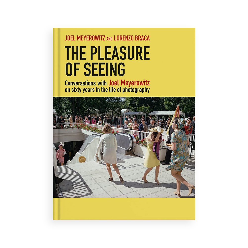 The Pleasure Of Seeing