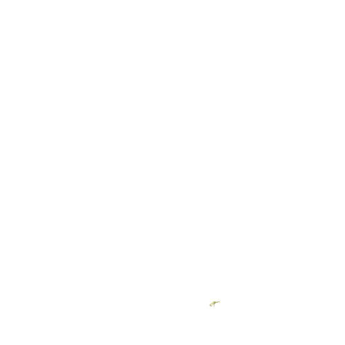 Animated Bull
