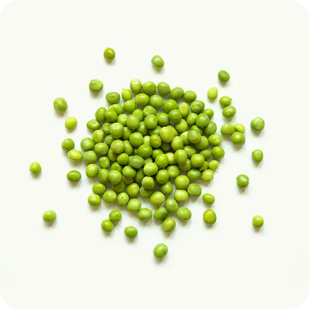 Proteína de arveja