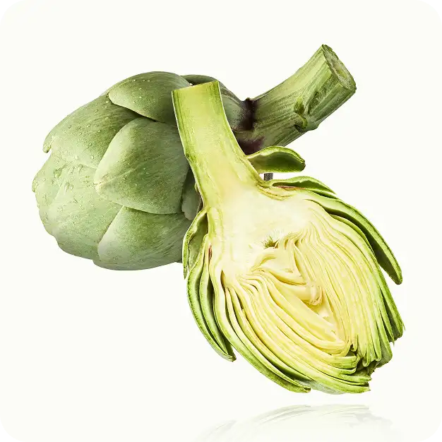 Extracto de hoja de alcachofa
