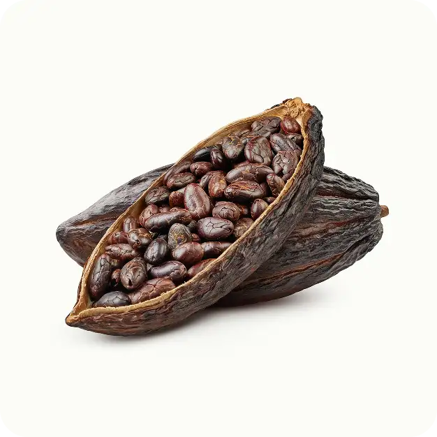 Cacao