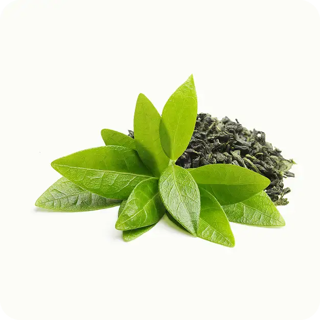 Té verde