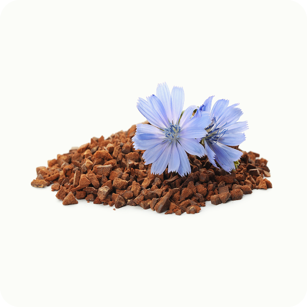 Inulina