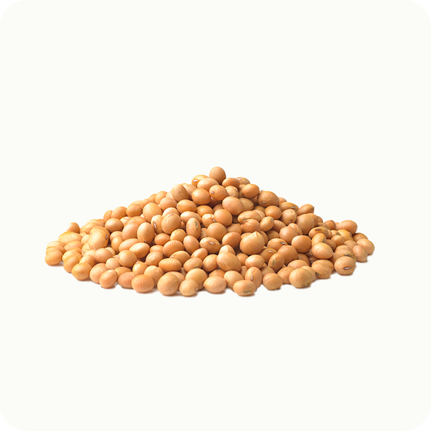 Lecitina de soja