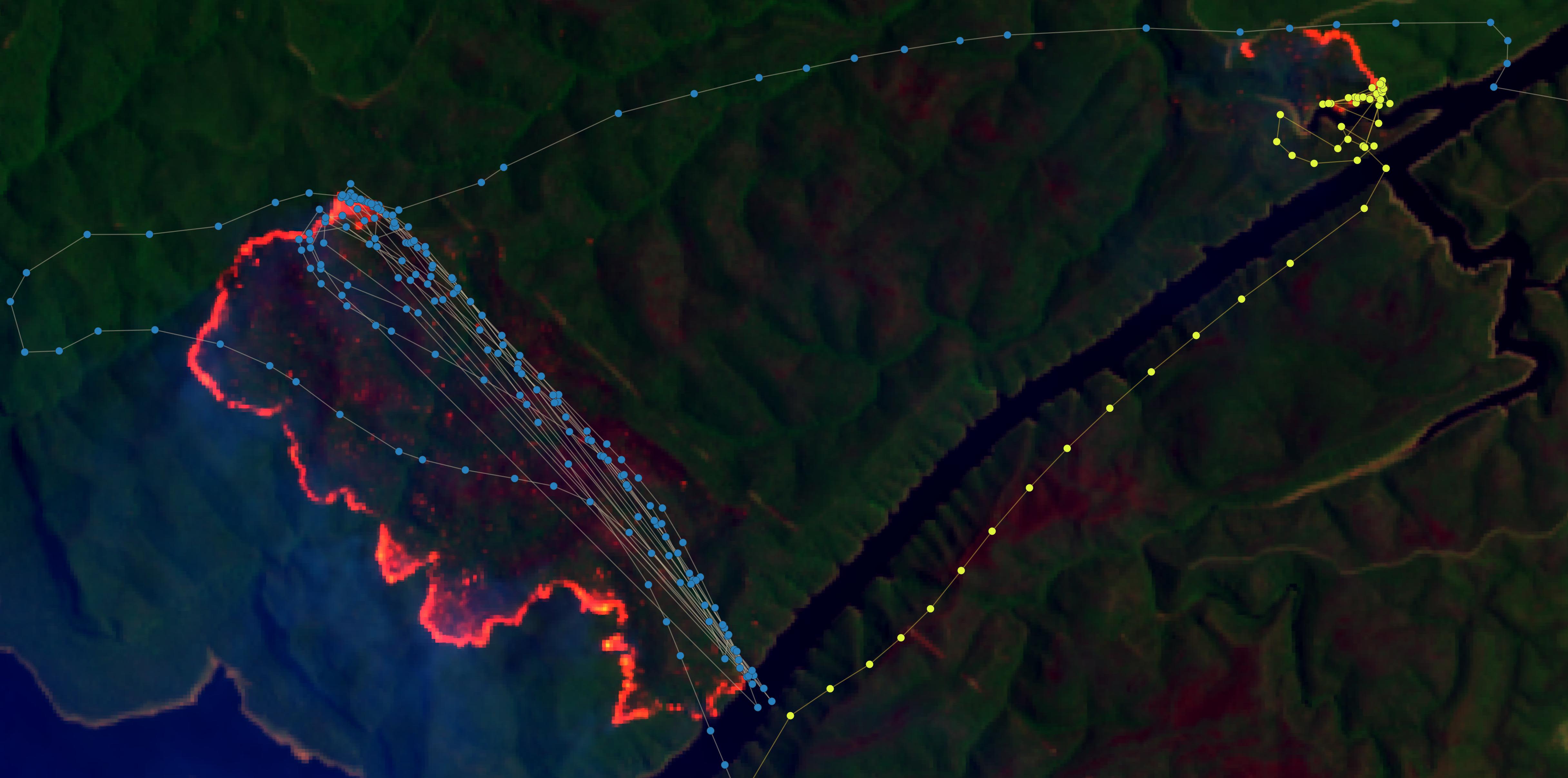 Fig.10 - Landsat-8 from the 31.12.2019 23:50:31 UTC with flight paths of two helicopters the P2-CHY (blue points) and N247AC (yellow points).