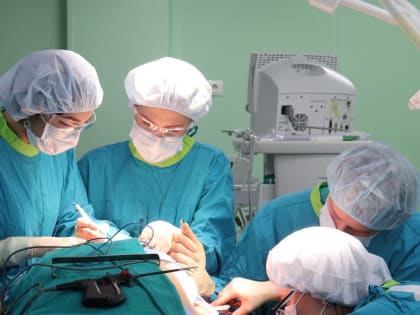 МЕСЯЦ БОРОЛИСЬ ЗА ЖИЗНЬ: В РОСТОВЕ ВРАЧИ УДАЛИЛИ МУЖЧИНЕ 15-ТИ САНТИМЕТРОВУЮ КИСТУ