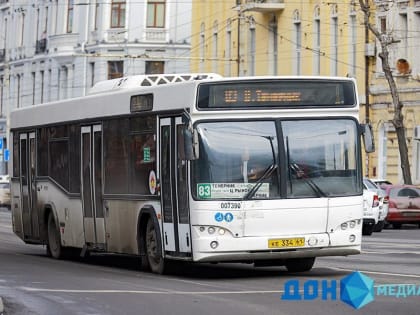 Почти 10 тысяч зебр зарегистрировали на Дону