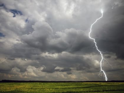 В течение суток по области пройдут дожди