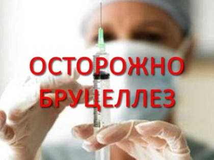 Осторожно! Бруцеллез!