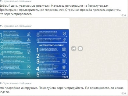 Родителей ростовских школьников призывают участвовать в праймериз "Единой России"