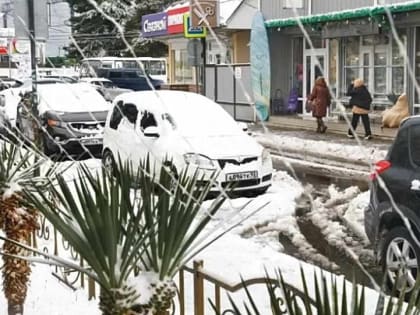 Аномальная зима может привести к потерям урожая на юге России и в Центральном Черноземье