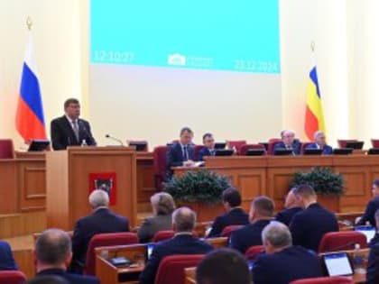 Депутаты «Единой России» выступили за новые меры поддержки многодетных семей на Дону