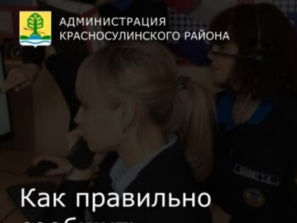 Новогодние праздники - это время радости, веселья и массовых гуляний