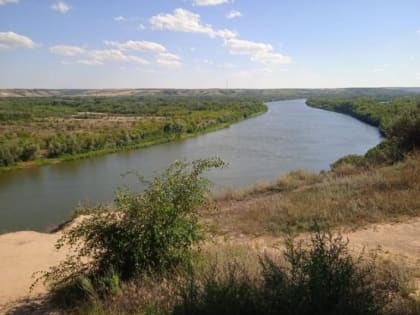 Росприроднадзор: в Дону выявлено превышение аммоний-ионов в 50 раз