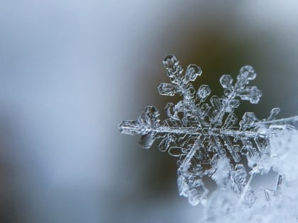 Морозы в Ростовской области вновь усилятся до –8 °С