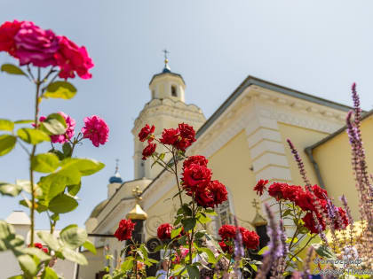 В Таганрог прибудет икона преподобного Серафима Саровского