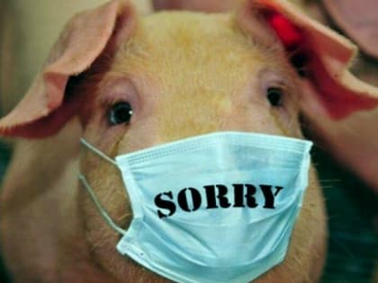 Эпидемия ОРВИ и гриппа, в т.ч. свиного, началась в Ростовской области