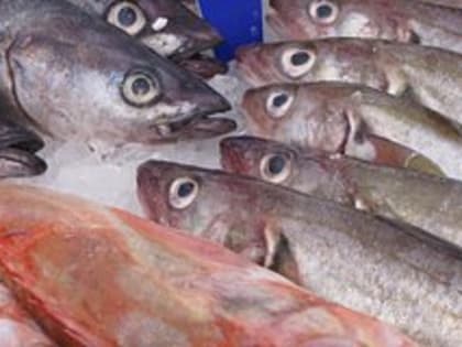 Диетолог предостерегла от ежедневного употребления одного вида рыбы