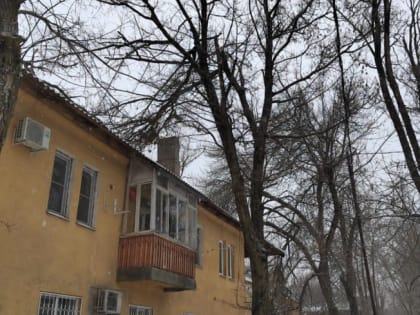 В Таганроге провели обрезку деревьев на четырех улицах