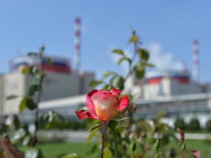 Ростовская АЭС подтвердила соответствие экостандартам