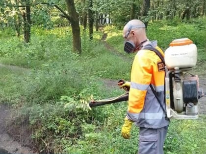 В Таганроге руководители городских служб отчитались о работе за неделю