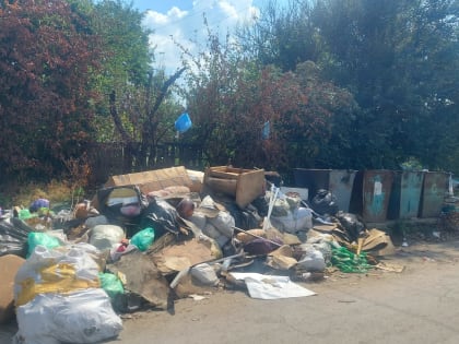 В Миллерово «Экострой-Дон» не справляется с вывозом ТКО