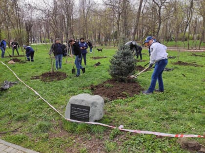 Донская столица отметила праздник весеннего древонасаждения