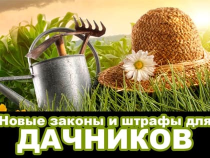 Какие штрафы грозят дачникам в 2023 году