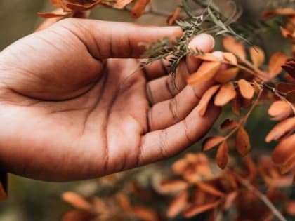 Осень и компост: как листья могут улучшить урожай